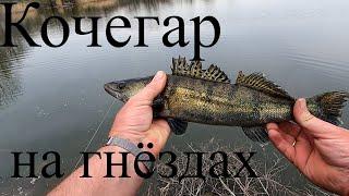 Джиг спиннинг  на #степной #речке Краснодарского края поймал #судака#кочегара
