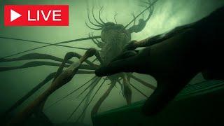HORROR GAMES + CHATTING(Still Wakes the Deep)
