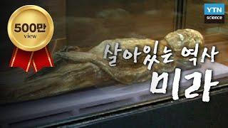 조상의 선물, 우리나라의 살아있는 역사 ‘미라’ / YTN 사이언스