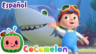 ¡CoComelon! | BEBÉ TIBURÓN | Canciones Infantiles en Español Latino