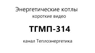 ТГМП 314, Паровой энергетический котёл