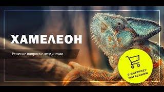 Обзор конструктора лендингов "Хамелеон"