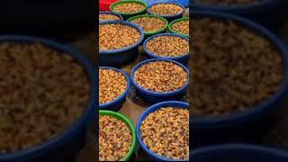 #agricultural production#insect#coconut weevil#nutritional food