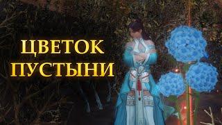 MIR4 | Поручение "Цветок пустыни"