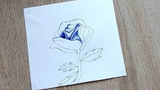 How to Draw a Rose Easy With Pencil 1 Hour Video