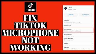 How to Fix Microphone Not Working on TikTok 2022?