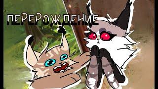 ПЕРЕРОЖДЕНИЕ с подружкой... (CatWar племя луны)