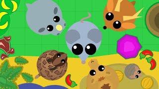 КАК БАТЛИТЬСЯ В MOPE.IO НА ФЕНИКСЕ