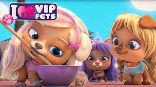 Emergencia capilar 🪮 VIP PETS  Nuevo Episodio  Vídeos para niños en ESPAÑOL