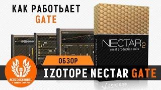 iZotope Nectar 2 - Как работает Gate