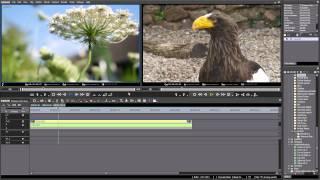 EDIUS Pro 7 and Native 4K from the Panasonic Lumix