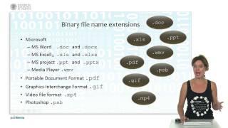 Databases, Files and Datawarehousing: Binary files |  | UPV