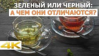 Белый, зеленый, черный чай или улун: чем они отличаются?