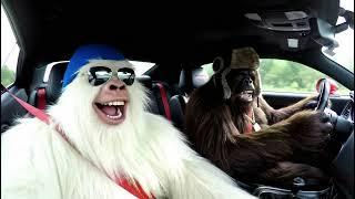 Ai yeti and bigfoot race black bear