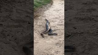 Camera man on tourism
