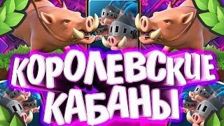 ИСТОРИЯ КОРОЛЕВСКИХ КАБАНОВ CLASH ROYALE ! / истории карт Clash Royale /  Wild Game