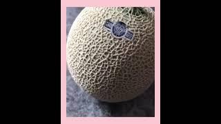 incredible designing of cantaloupe