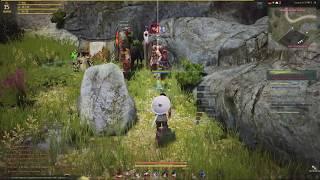 Black Desert квест про сокровище