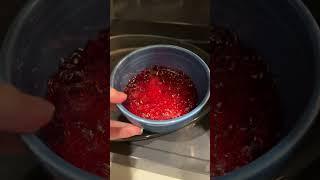 jolly rancher tanghulu!
