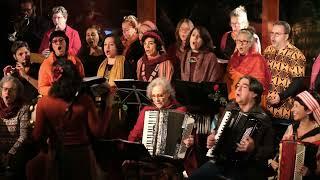 Kalinifta (Itália) • A Magnífica Orchestra de Músicas do Mundo