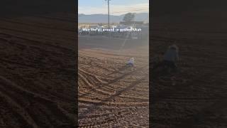 Goshen Utah!!!