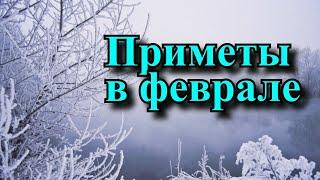 Приметы про февраль, как предсказать погоду на лето по поведению февраля.