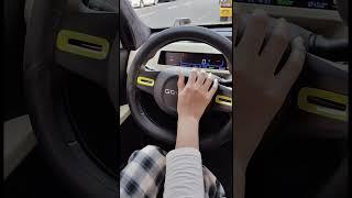 Geely Panda Mini ev Smallest Electric Car  #short #ev #cheapcars
