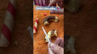 Smile chocolate #chocolate #chocolate #anayakandhal # anaya #shorts