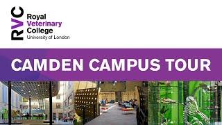 RVC Camden Campus Tour, London