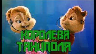 Бурундуки- Королева танцпола Джаро & Ханза