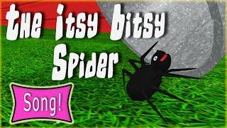 Itsy Bitsy Spider