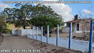 LINDA CHÁCARA PERTO DA CIDADE PRA VENDER LIGEIRO 81 99178-8195