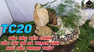 Độc Đáo Tiểu Cảnh Gốc Cây Đổ Đá Thạch Anh Vụn Ngũ Sắc Phong Thủy || TC20