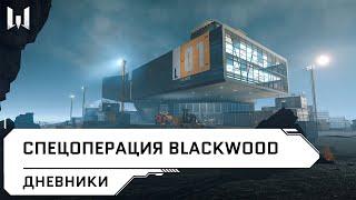 Что такое спецоперация Blackwood? // Дневники разработчиков