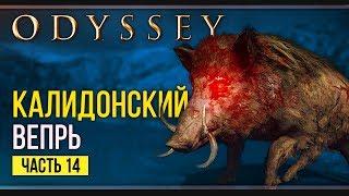 Дочери Артемиды | Assassin’s Creed Odyssey | Прохождение #14