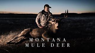 Big Montana Mule Deer Buck Hunt 2021