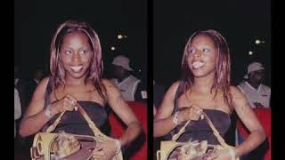 Foxy Brown carrying her pet in a Louis Vuitton bag (First celeb to ever do it)