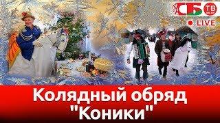 Необычный колядный обряд "Коники" в Давид-Городке | СТРИМ