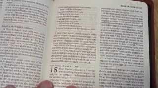 Cambridge NRSV Bible Review