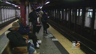 Subway Safety Platform Proposal