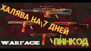 ПИНКОД "ДРАКОНОБОРЕЦ" WARFACE (PS4/XBOX)