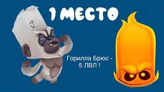 Горилла Брюс - 5 ЛВЛ ! | ZOOBA