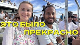 Как мы мое 30-летние праздновали/Отпуск на Мадейре