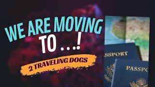 The 2 Traveling Dogs Next Adventure