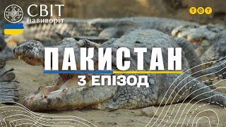 Перегони на биках та храм суфіїв з крокодилами. Пакистан. Світ навиворіт 3 випуск