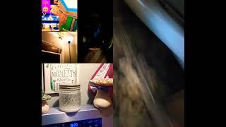 bandicut cache