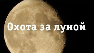 Охота за луной