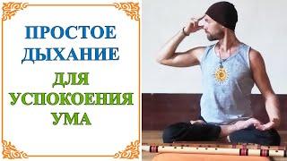 Как остановить поток мыслей | Как успокоить ум | Дмитрий Матвеев