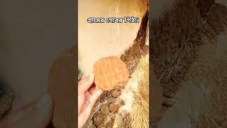 গ্রামের গোবর পিঠা | Gobor Pitha |