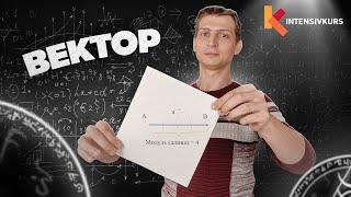 Вектор в Физике. Как Рисовать Вектор? Модуль Вектора || Урок Физики 8 класс // Подготовка к ЕГЭ